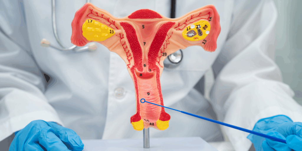 DiVa By Sciton In Aiken SC Vaginal Rejuvenation Treatment